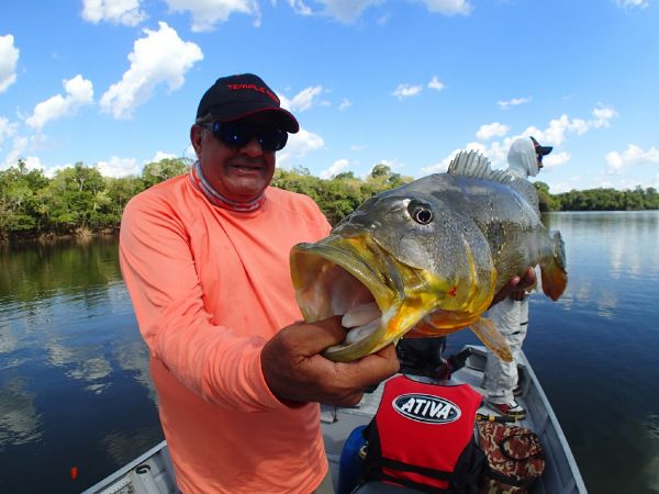Roberto Véras 's Fly-fishing Image of a Peacock Bass – Fly dreamers 