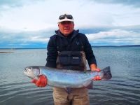 Amazing trout at Strobel Lake