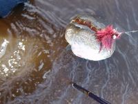 Foto de pesca con mosca