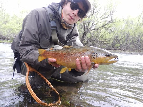 Javier Peña 's Fly-fishing Catch of a von Behr trout – Fly dreamers 