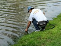 Foto de pesca con mosca