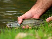 Foto de pesca con mosca