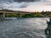 Foto de pesca con mosca