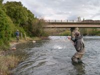 Foto de pesca con mosca