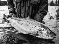 Foto de pesca con mosca