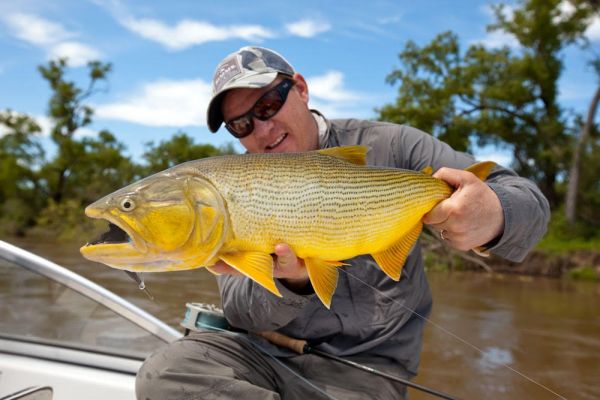 Fly-fishing Picture of Freshwater dorado shared by Pablo Costa Gonta – Fly dreamers
