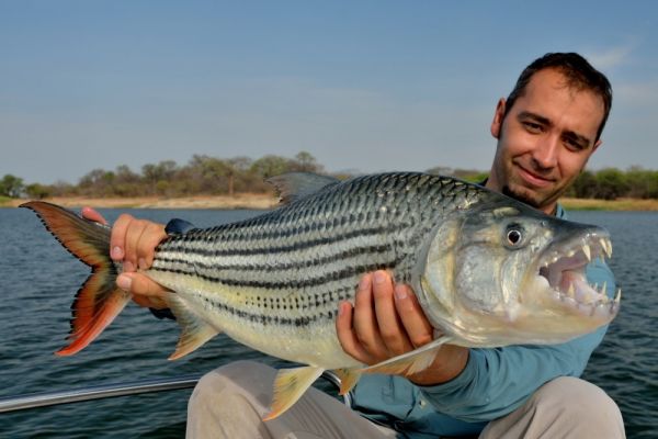 Rafal Slowikowski 's Fly-fishing Picture of a Tigerfish – Fly dreamers 