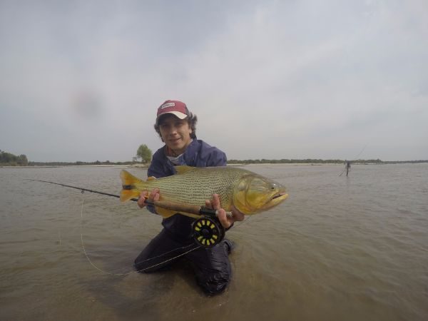 Javier Peña 's Fly-fishing Picture of a Golden Dorado – Fly dreamers 