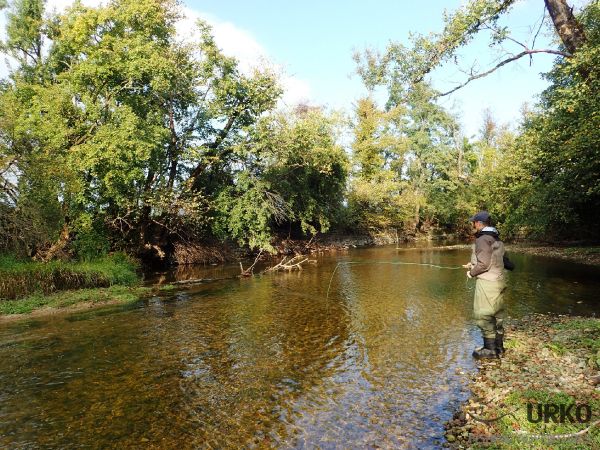 Fly-fishing Situation of von Behr trout - Photo shared by Uros Kristan from Planina pri Rakeku – Fly dreamers 
