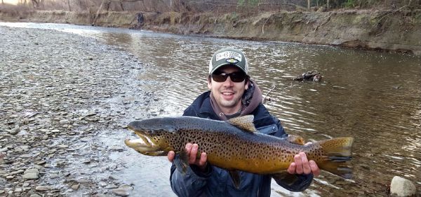 Fly-fishing Photo of European brown trout shared by Tyler Fritz – Fly dreamers 