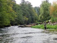 Urko Fishing Adventures
Krka River is managed by Fisheries Research Institute of Slovenia