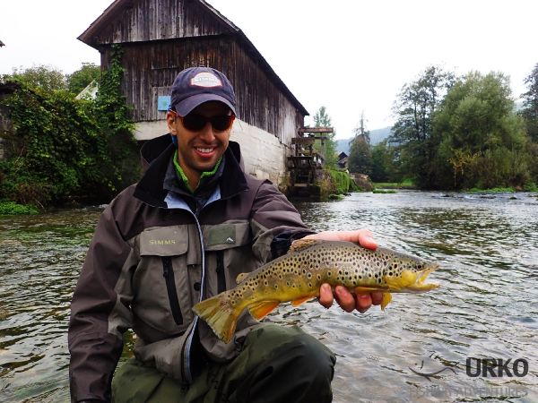 Cool Fly-fishing Situation of German brown - Picture shared by Uros Kristan from Krka – Fly dreamers