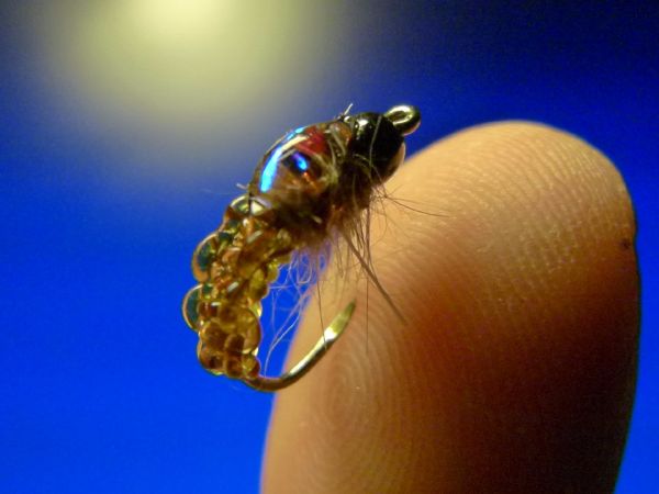 Fly-tying for Rainbow trout - Photo shared by Carlos Estrada – Fly dreamers 