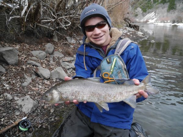 Fly-fishing Picture of Whitefish shared by Luke Alder – Fly dreamers