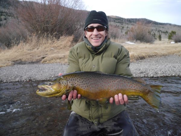 Fly-fishing Picture of Brownie shared by Luke Alder – Fly dreamers