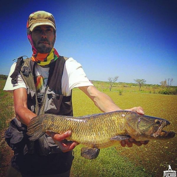 Wolf Fish Fly-fishing Situation – Santiago Esteves shared this () Image in Fly dreamers 