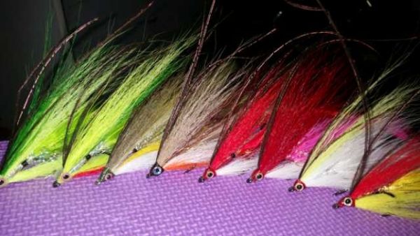 Fly for Peacock Bass - Picture shared by Ignacio Silva – Fly dreamers