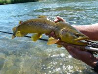 Foto de pesca con mosca