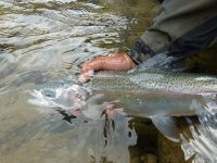 Foto de pesca con mosca