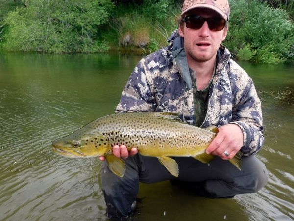 Andy  Sutherland  's Fly-fishing Image of a Brown trout – Fly dreamers 