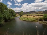 The lower Bushmans River