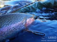 Sava Bohinjka - Fisheries Research Institute of Slovenia