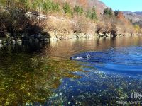 Sava Bohinjka - Fisheries Research Institute of Slovenia