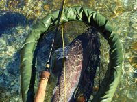 Sava Bohinjka - Fisheries Research Institute of Slovenia