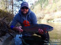 Sava Bohinjka - Fisheries Research Institute of Slovenia