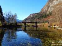 Sava Bohinjka - Fisheries Research Institute of Slovenia