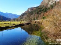 Sava Bohinjka - Fisheries Research Institute of Slovenia