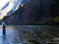 Sava Bohinjka - Fisheries Research Institute of Slovenia