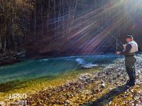 Sava Bohinjka - Fisheries Research Institute of Slovenia