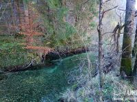 Sava Bohinjka - Fisheries Research Institute of Slovenia