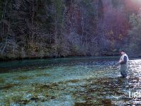 Sava Bohinjka - Fisheries Research Institute of Slovenia