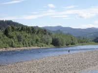 Gaula Flyfishing Lodge Beat 5 - Evjenöra pool