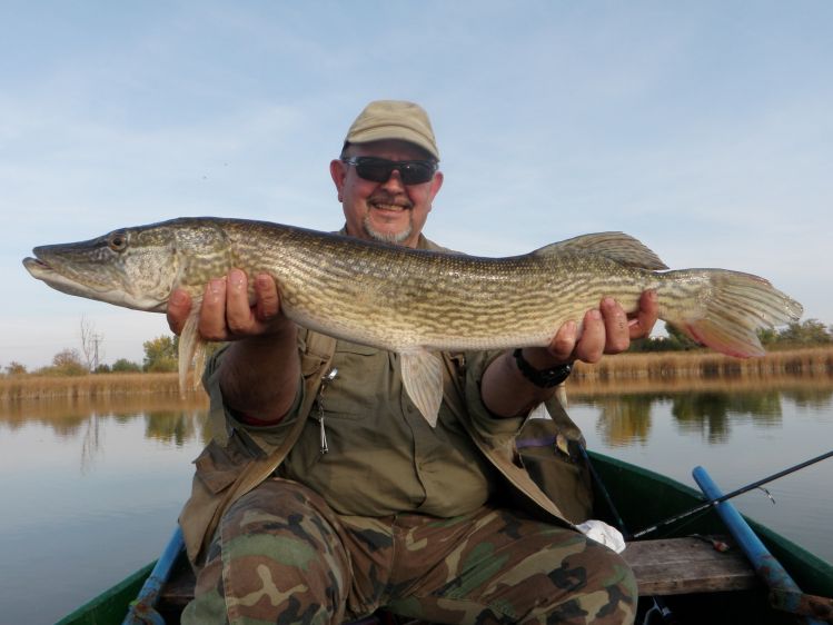 Lake fishing with streamer, pike 106cm long