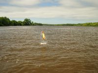 Foto de pesca con mosca