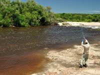 Foto de pesca con mosca