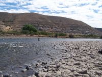 La estepa y el hombre 