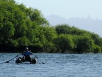 Fly fishing picture