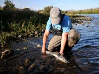 Fly fishing picture