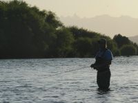 Fly fishing picture