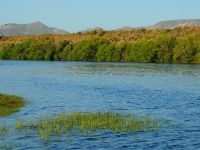 Fly fishing picture