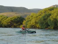 Fly fishing picture