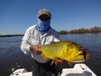 Chulito y Dorado del Rio Corrientes