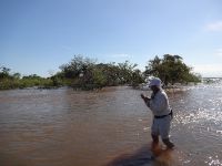 Fly fishing picture