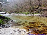 Foto de pesca con mosca