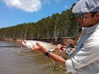 Foto de pesca con mosca