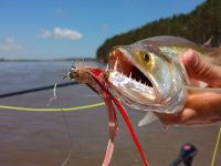 Foto de pesca con mosca